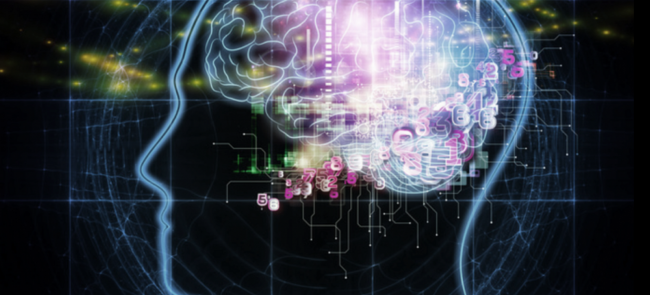 Exploring the neuroscience of mindfulness